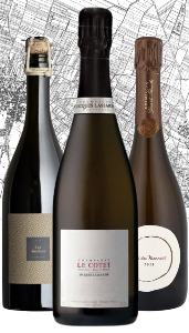 Trio Sélection Parcellaires 01 - 3 bouteilles 75cl