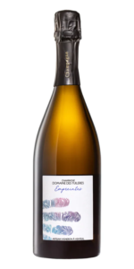 Champagne Domaine des Tuileries Empreintes 2021