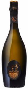Champagne De Sousa Mycorhize Magnum