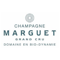 Champagne Benoît Marguet