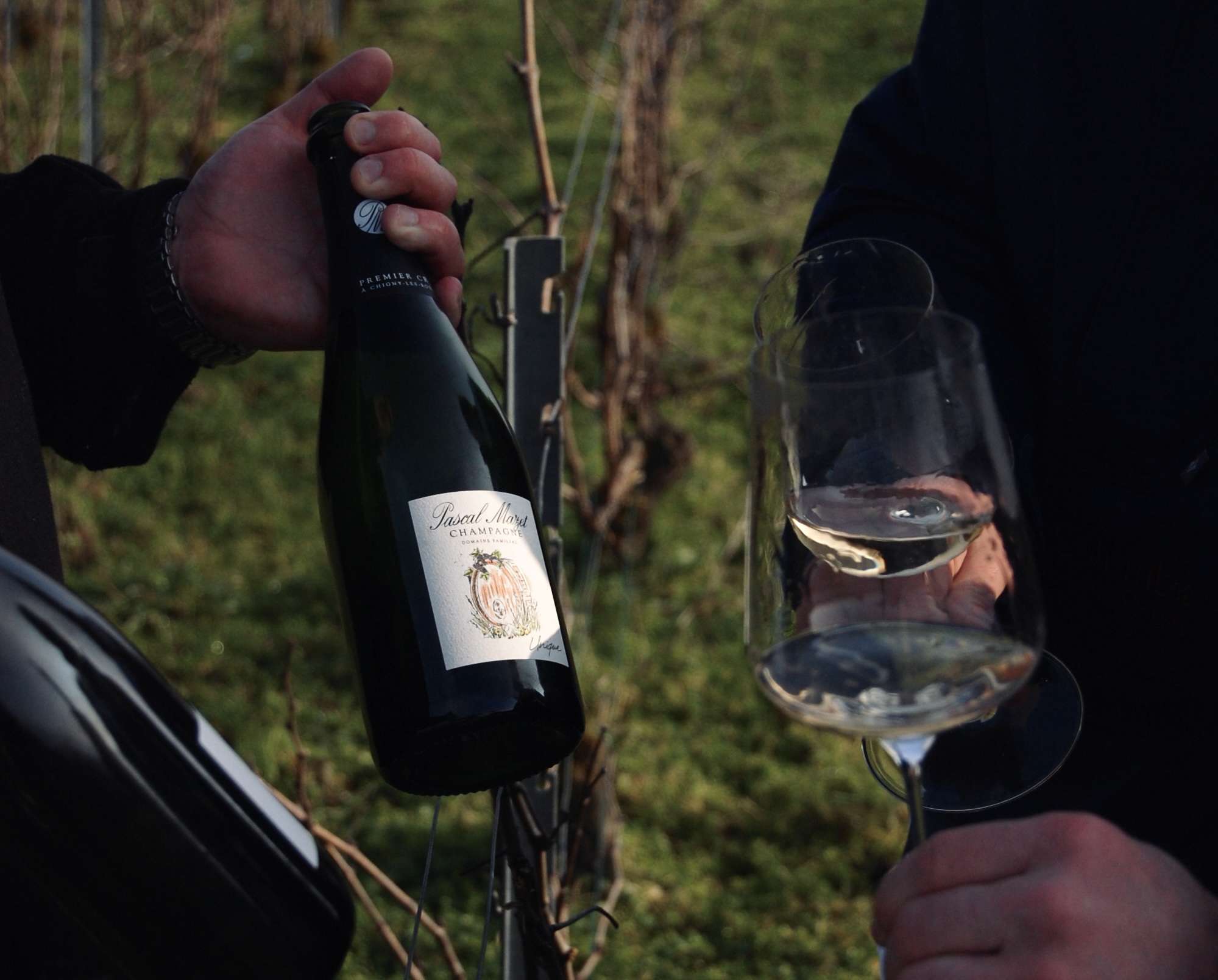 Champagnes biologiques, achat champagne 