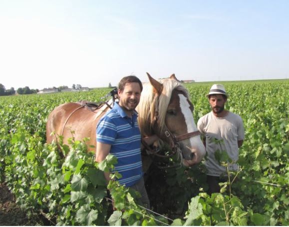 Benot Marguet aux cts de son cheval de trait et d'un employ viticole