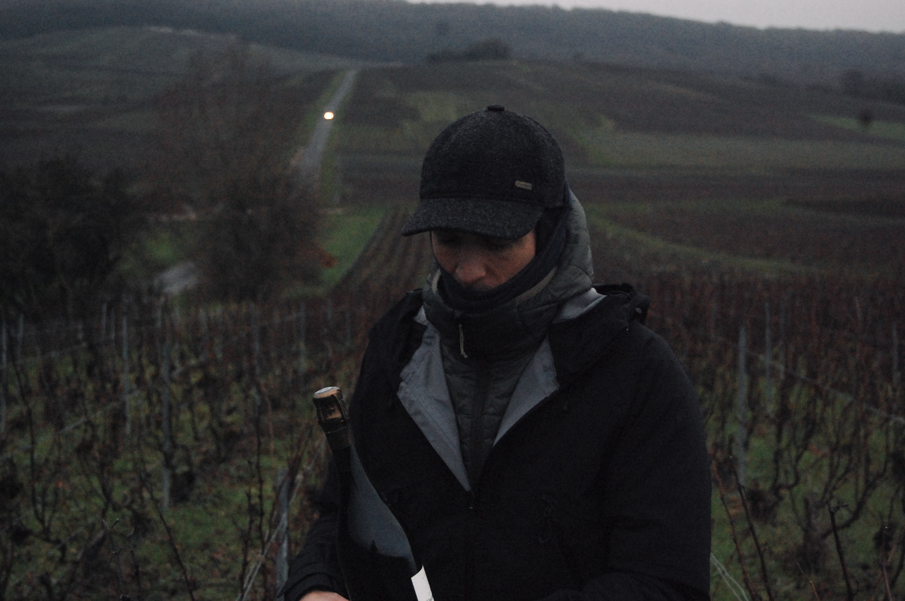 Champagne de vignerons, champagne grand cru, achat champagne
