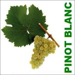 cpage pinot blanc