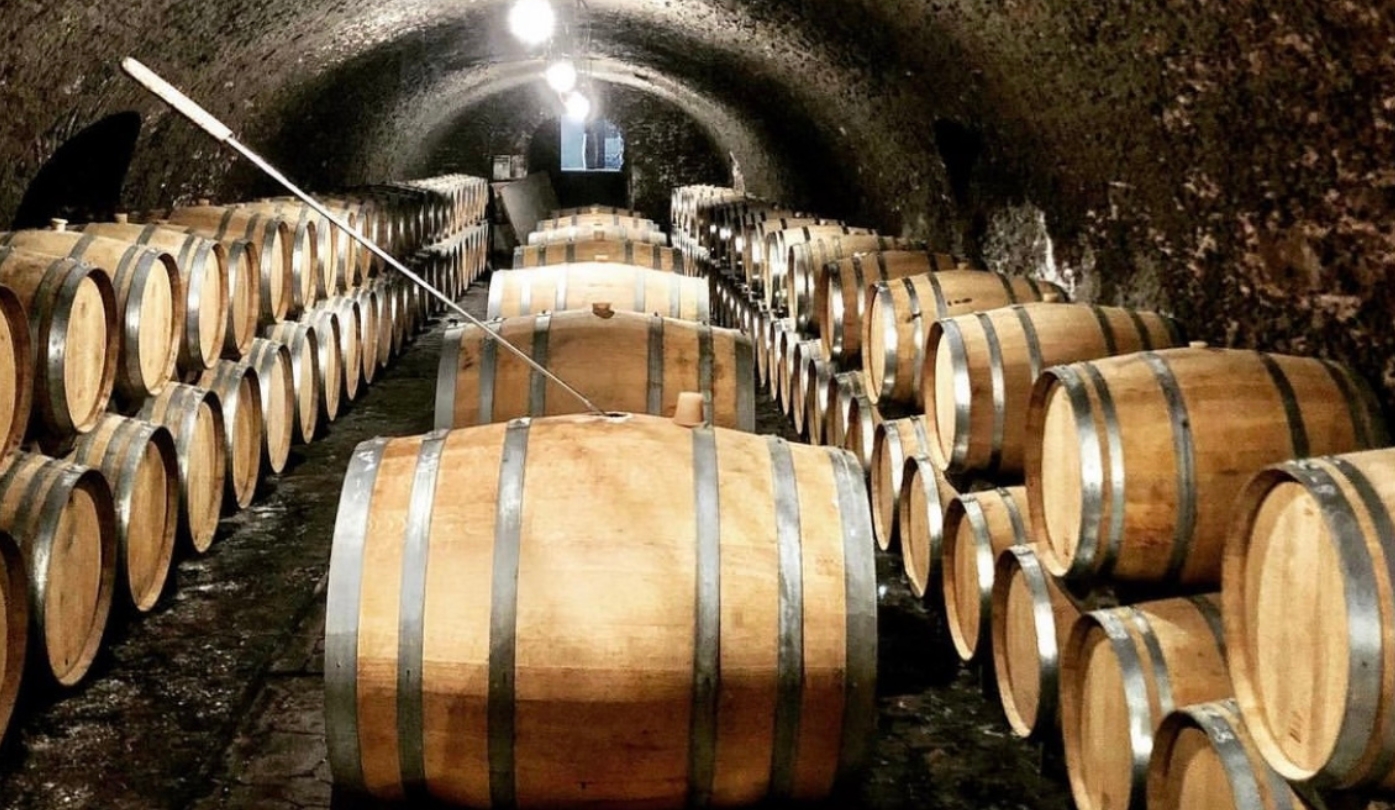Champagne de vignerons