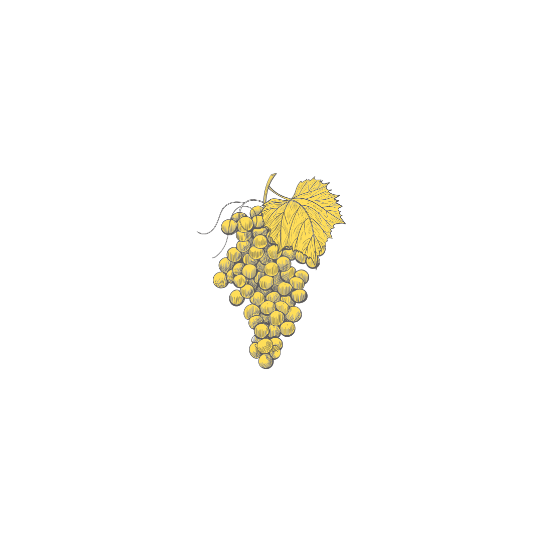 Cpages de Champagne